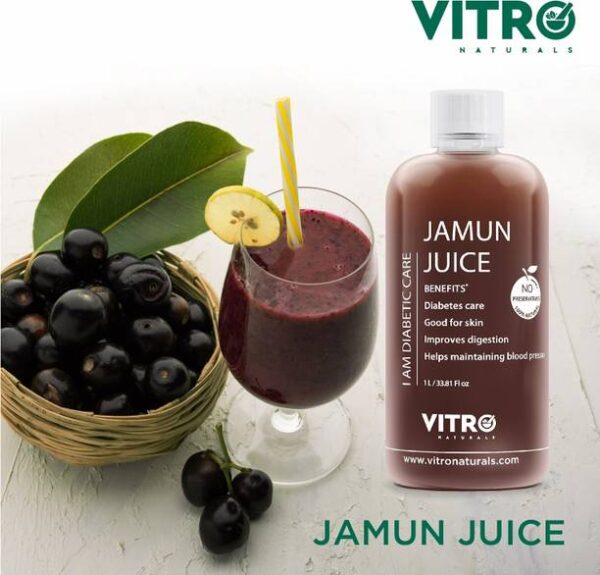 VITRO Naturals Jamun Juice