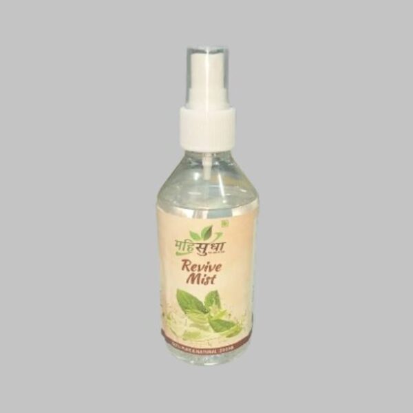 Dadu Fresh Lychee Juice - 250 ML (Pack of 6)