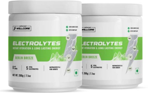 Wellcore Electrolytes | 5 Vital Electrolytes | Sugar Fr...