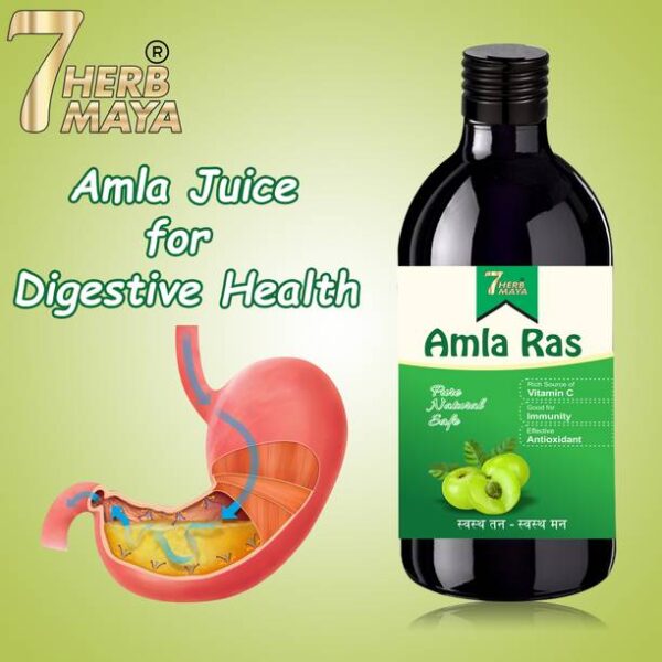 ALANTRA Neem Giloy juice