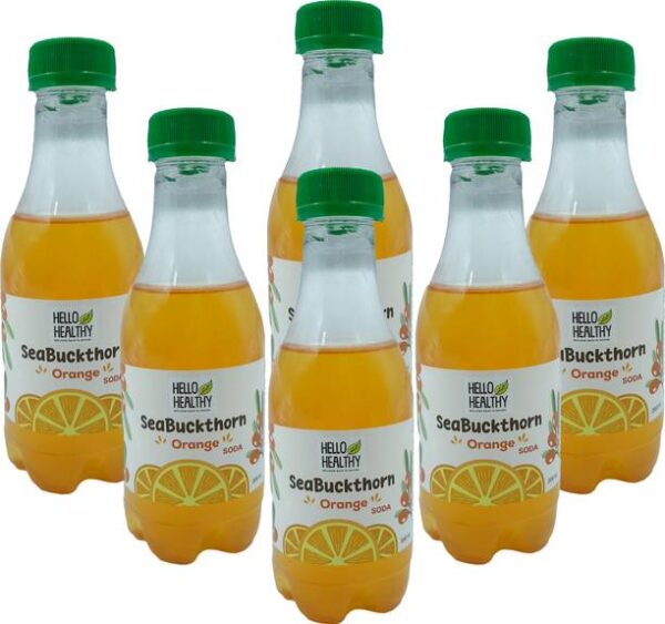 Hello Healthy Sea Buckthorn Orange Soda Ready to Drink ...